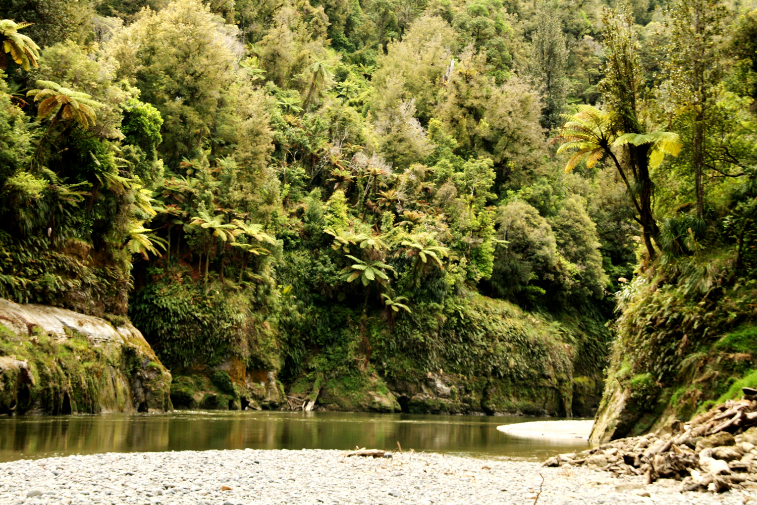 whanganuii river1